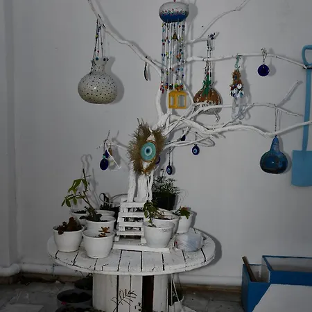 Suat Butik 酒店 *