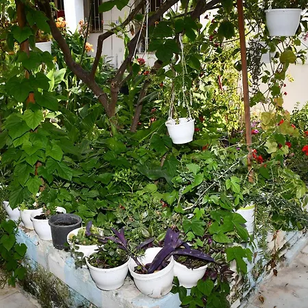 Suat Butik